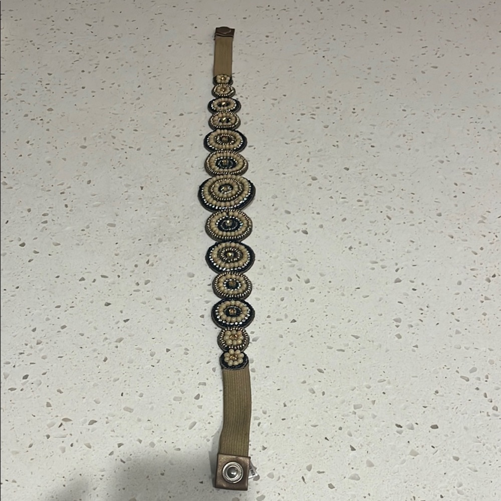 Anthropologie belt